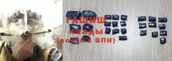 прущие грибы Горно-Алтайск