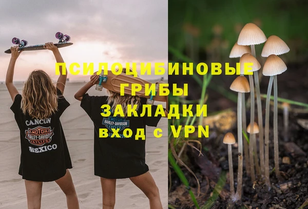 марки lsd Горняк
