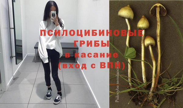 mix Горнозаводск