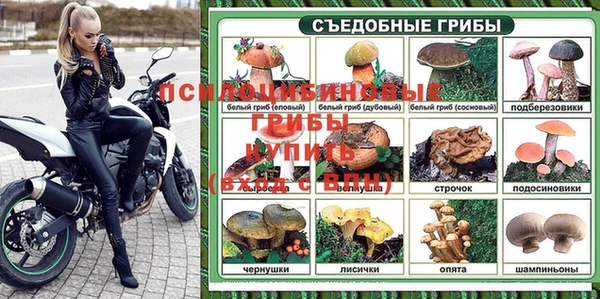 прущие грибы Горно-Алтайск