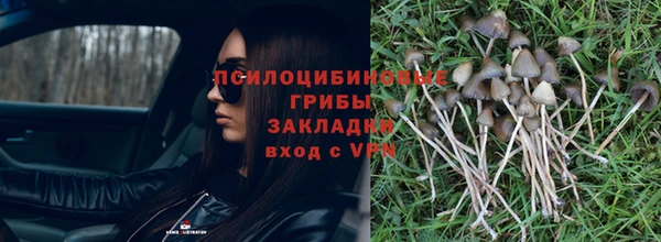 марки lsd Горняк