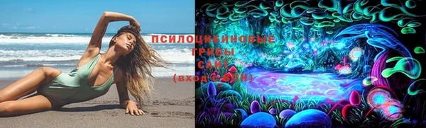 спайс Гусь-Хрустальный
