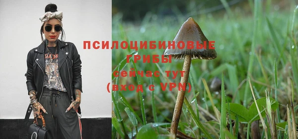 спайс Гусь-Хрустальный
