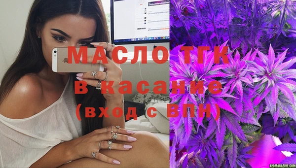прущие грибы Горно-Алтайск
