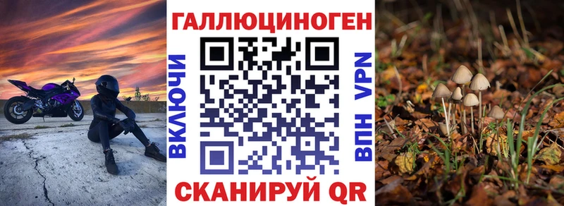 Псилоцибиновые грибы Cubensis Козловка